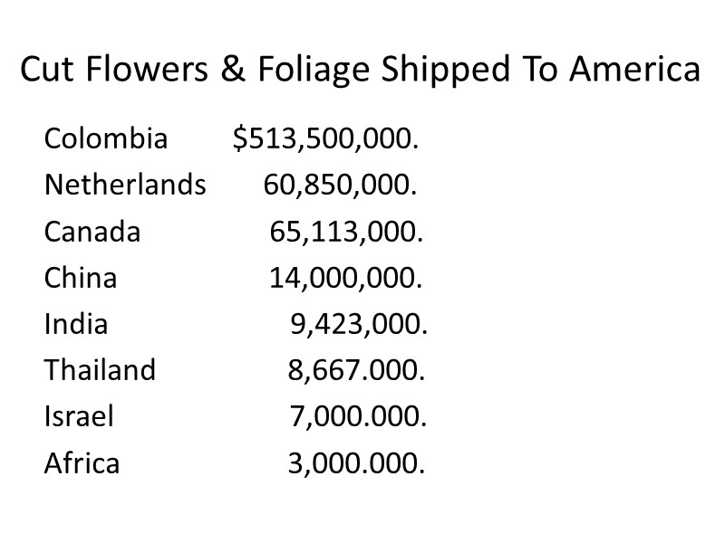 Cut Flowers & Foliage Shipped To America Colombia      